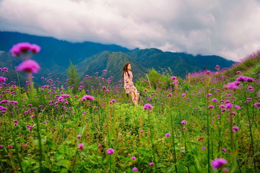 Sapa: Sunworld Fansipan Legend Ticket - Summit Views of Hoang Lien Son and Muong Hoa Valley