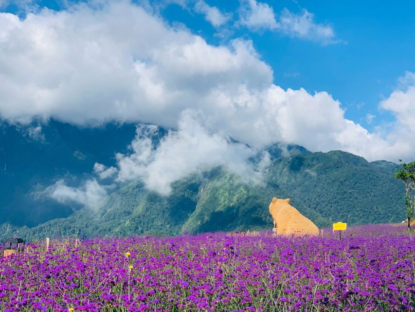 Sapa: Sunworld Fansipan Legend Ticket - Who Should Book This Ticket (and Who Should Skip)