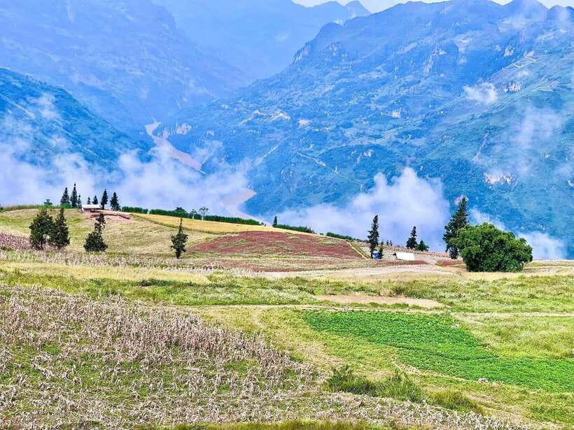 Sapa: Ta Phin Village Trek with Lunch and Bathing Experience - Why the Ta Phin trek feels more real than a quick sightseeing loop