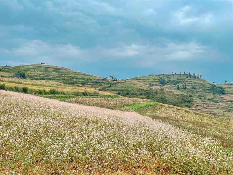 Sapa: Ta Phin Village Trek with Lunch and Bathing Experience - Ta Phin Village and Ta Phin Cave: Hmong and Dao traditions you can actually point to