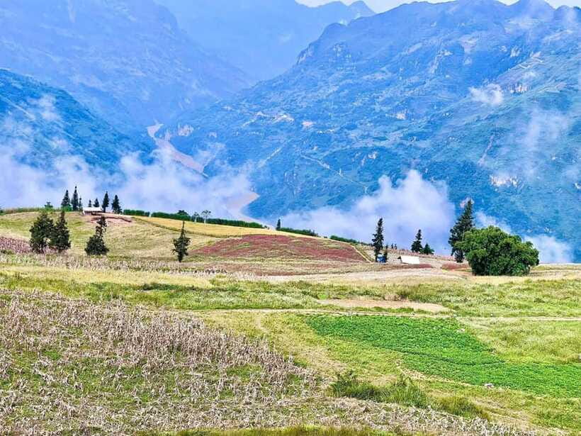 Sapa: Ta Phin Village Trek with Lunch and Bathing Experience - The Massage Lits bonus after your trip: a useful perk, not a gimmick