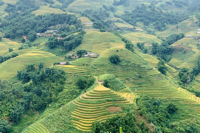 Sapa The Hidden Trail Trek 1 Day - Mountain & Rice Valley - The flow of the day: from Ham Rong Mountain to Muong Hoa villages