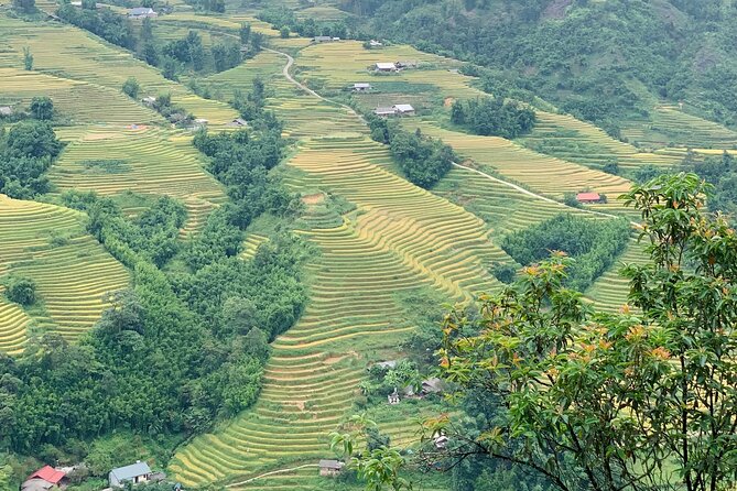 Sapa The Hidden Trail Trek 1 Day - Mountain & Rice Valley - Price, logistics, and practical expectations in one glance