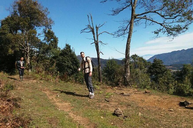 Sapa Tour: 2-Day Fansipan Trekking - Day 2: The Summit Push, Fog Moments, and the Descent Back to Tram Ton