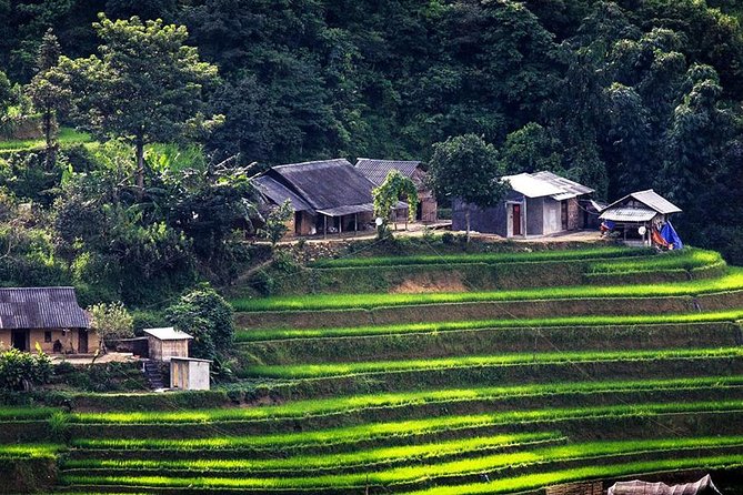 Sapa Tours 2D1N stay At 4 stars hotel nice Sleeping Bus TRANSFER - Day 2: Terraces at Y Linh Ho, Lunch in Lao Chai, and Ta Van Return