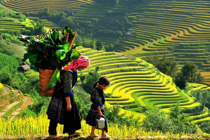Sapa Tours 2D1N stay At 4 stars hotel nice Sleeping Bus TRANSFER - Guides, Meals, and What Makes the Experience Feel Real