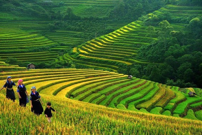 Sapa Trek Tours -2D1N Stay At 3*** -TRANSFER BY SLEEPING BUS - Getting to Sapa without playing taxi driver: the sleeping bus win
