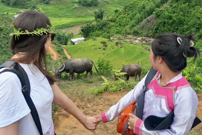 Sapa trekking 2 days small group - Why this Sapa 2 day homestay trek works so well