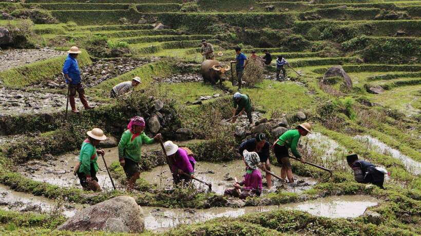 Sapa Trekking Bargains With Local Guide - Key things that make this trek worth it