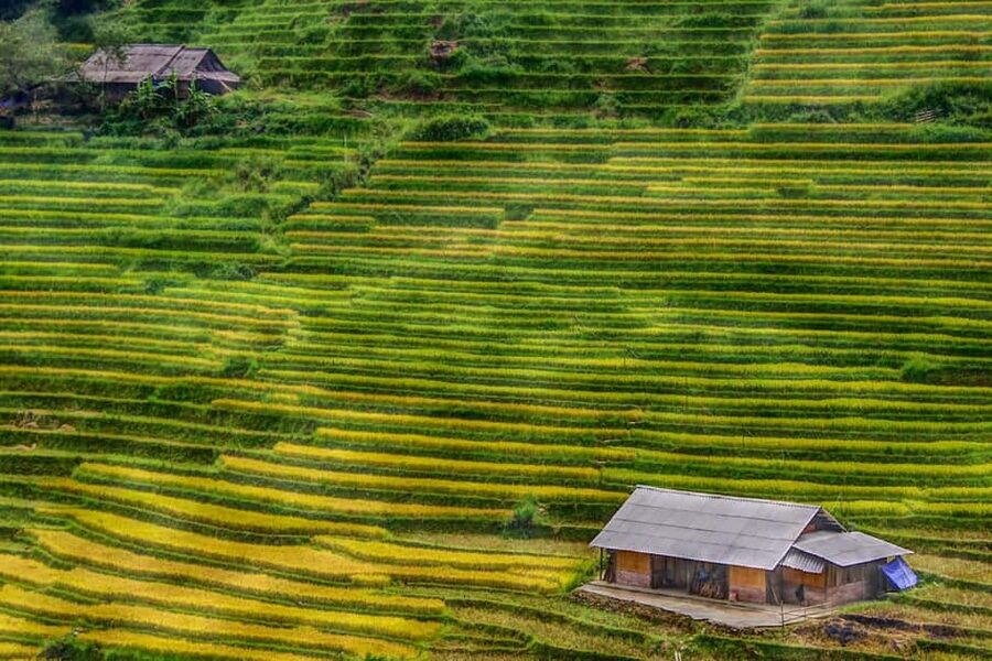 Sapa Trekking Bargains With Local Guide - Why this Sapa trek feels local, not a tourist product