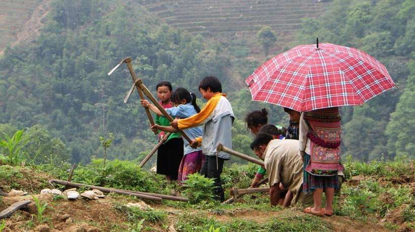 Sapa Trekking Bargains With Local Guide - Meeting at Sapa Stone Church, then start with a practical setup