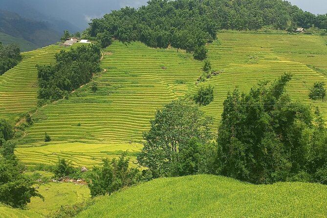 Sapa Trekking / Hiking through Sapa Valley with native Hmong - Entering Sapa Valley With a Real Hmong Guide, Not a Script
