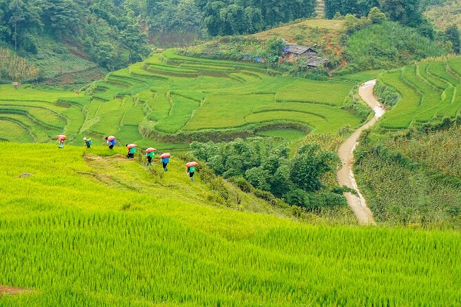 Sapa Trekking & Homestay 2 Days 1 Night - The Hanoi to Sapa transfer, early start, and why it matters