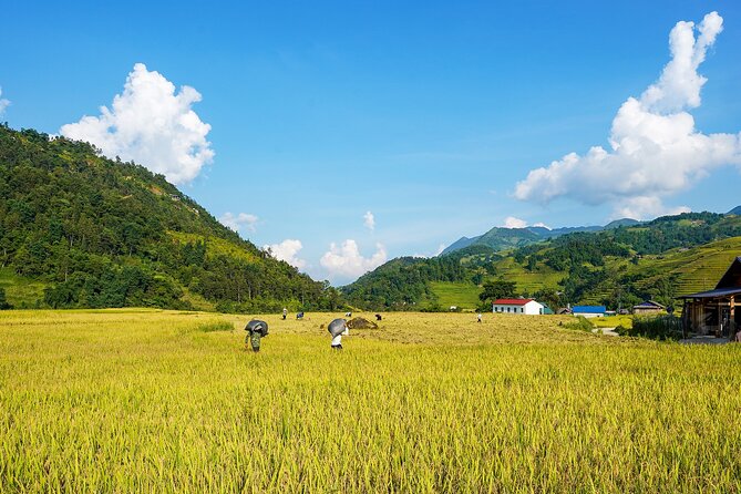 Sapa Trekking & Homestay 2 Days 1 Night - Trekking reality check: weather, cold air, and slippery paths
