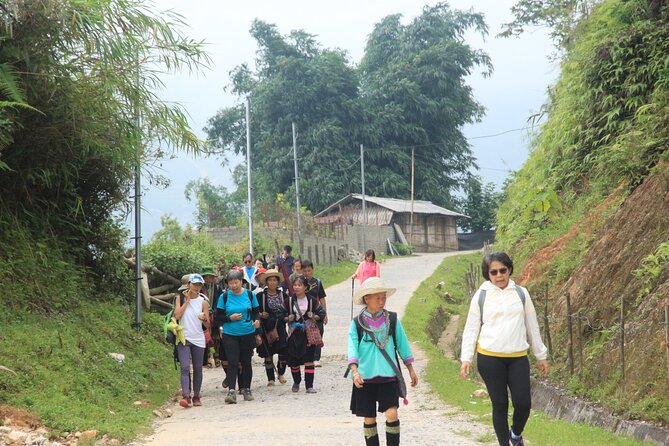 Sapa Trekking Tour Full Day - Trekking conditions in Sapa: plan for mud, not miracles