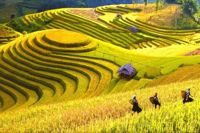 Sapa Trekking Tours - 2 Days 1 Night Stay At Homestay - Cat Cat Village Walk: Short, Scenic, and Sometimes Slippery