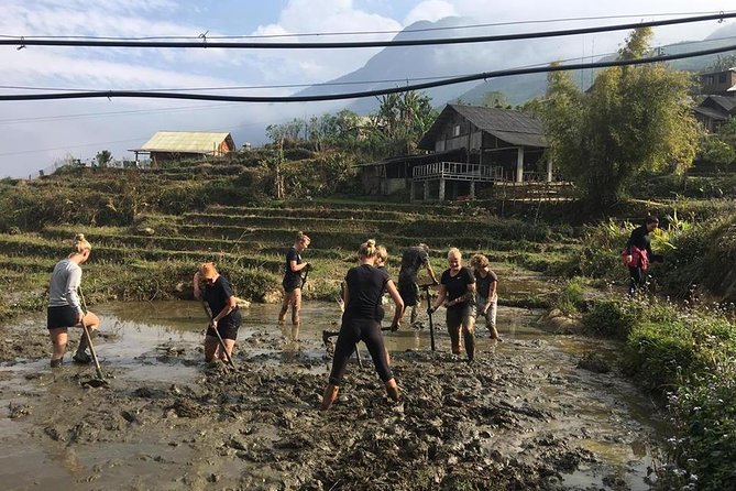 Sapa trekking - Unique Route - 2D1N - Day 2: the medium trek to Giang Ta Chai, bamboo forest to the bridge