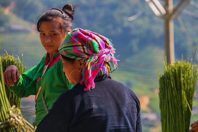 Sapa Valley Trek and Homestay - 3D2N - Day 1: Y Linh Ho down the road, then Ta Van for the Giay homestay welcome
