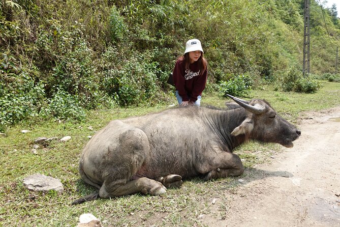 Sapa Valley Trek and Homestay - 3D2N - Day 3: Tay traditional houses, Nam Tong village, and back to Sapa