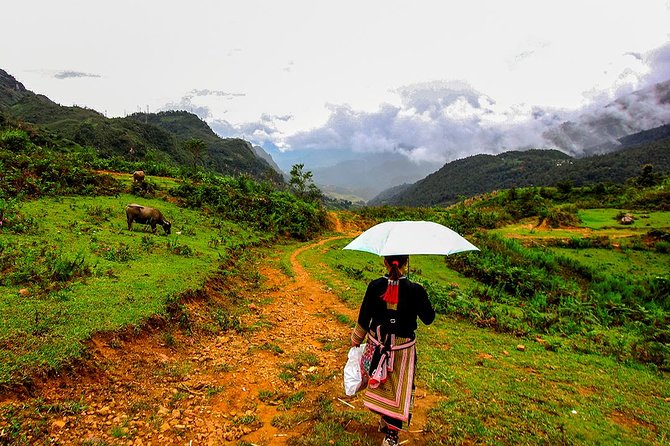 Sapa Valley Trek and Homestay - 3D2N - Homestays in Sapa: meals, family time, and what to expect