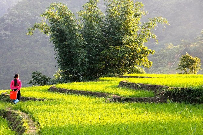 Sapa Valley Trek and Homestay - 3D2N - The guide and the small-group pace (up to 15)
