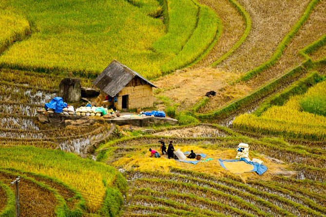 Sapa Villages trekking and homestay 2 Days/ 1 night package tour: best selling - Ta Van homestay overnight: private room, shared bath, and morning farm sounds