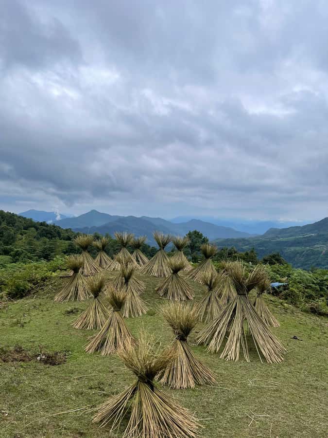 Sapa: Y Linh Ho - Lao Chai, and Ta Van Trekking Day Tour - Key things you will notice on this Sapa trek