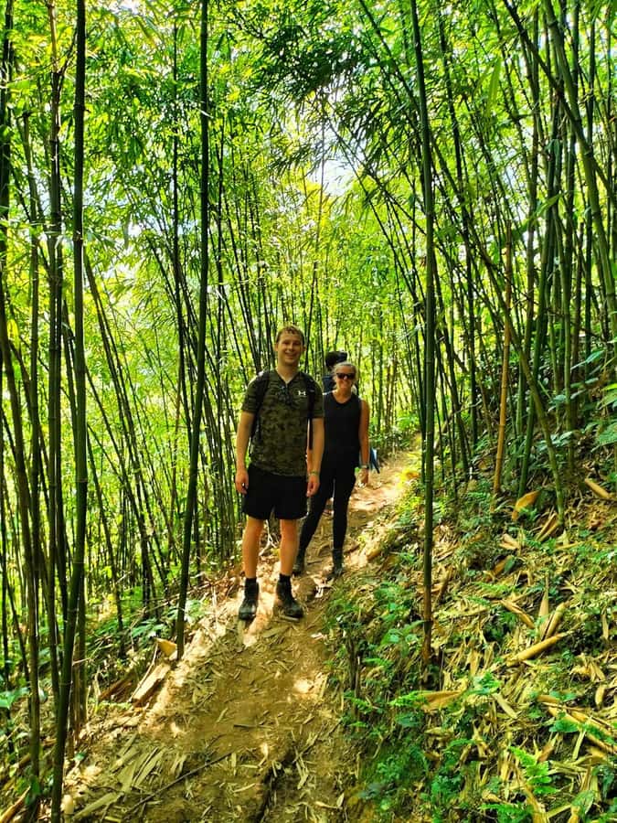 Sapa: Y Linh Ho - Lao Chai, and Ta Van Trekking Day Tour - Price and Value at About $19 Per Person