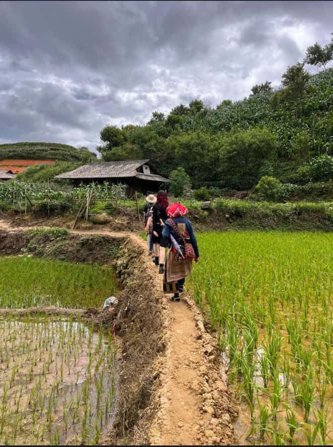 Sapa: Y Linh Ho - Lao Chai, and Ta Van Trekking Day Tour - Lunch on the Route: Why the Included Meal Is Part of the Value