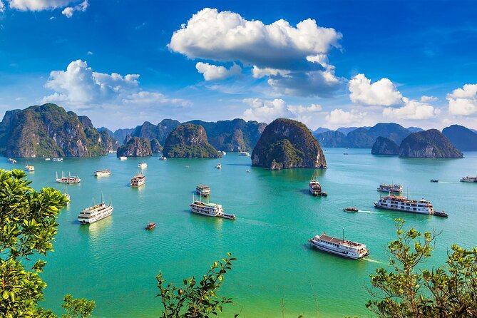 Shore Excursion: Amazing Day Cruise at Ha Long Bay - The “money islet” and other iconic stops you’ll actually see