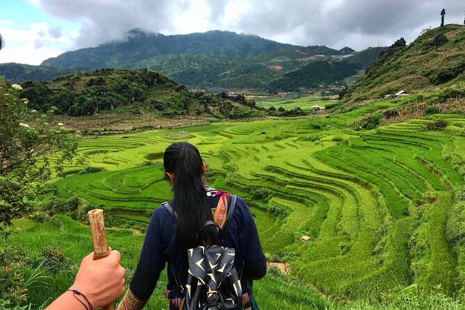Sleeper Bus Hanoi to Sapa - The Sapa to Hanoi return: the comfortable evening commute