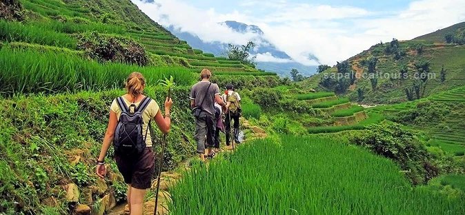 The Best Sapa Tour 2D1N At 3 Star Hotel by sleeping BUS TRANSFER - Day 1 Dinner and Hotel Night: The Comfort Piece That Keeps Day 2 Enjoyable