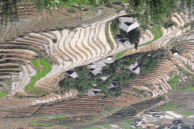 The best view and most authentic tour in Sapa (Non Touristy) - Why this Sapa day feels less tourist-charged