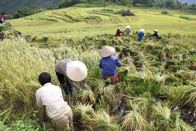 Three days motorbiking tour Pu Luong - Motorbike details that affect your comfort and confidence
