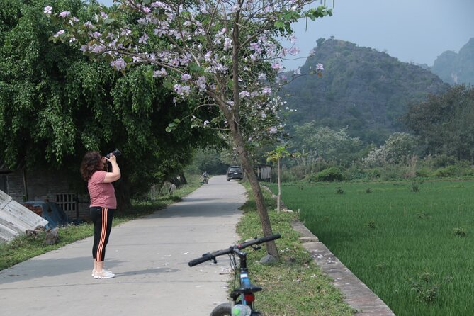 Trang An and Bich Dong Luxury Small Group Tour with Cycling - Bich Dong Pagoda: stairs, caves, and pagoda architecture that makes sense in person