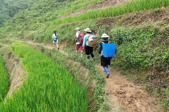 Trek Adventure in Ta Van Village, Lao Chai - Lao Chai lunch stop: simple food, homestay-style warmth