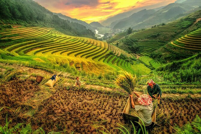 Trek Adventure in Ta Van Village, Lao Chai - Ta Van finish near the secondary school, then back to Sapa