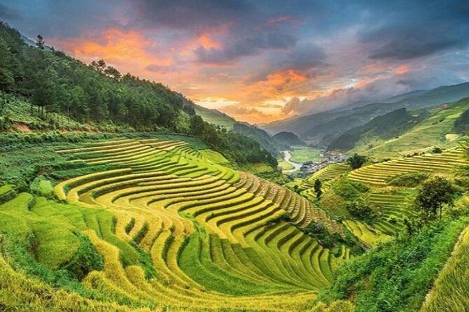 Trek Adventure in Ta Van Village, Lao Chai - Best time to go: rice season for the golden terrace look