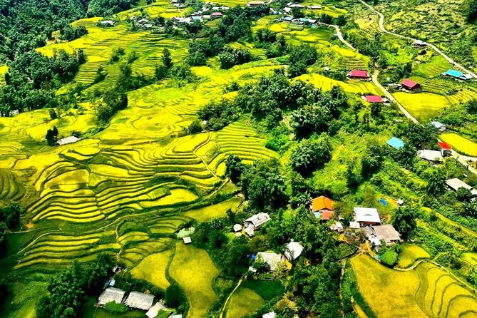 Trek Adventure in Ta Van Village, Lao Chai - Start in Sapa, then walk into Y Linh Ho village