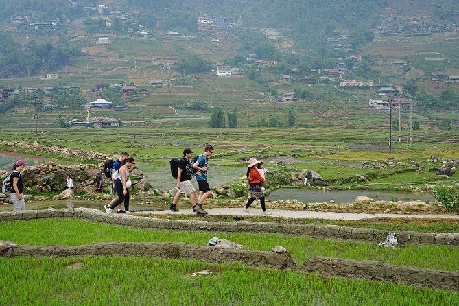 Trekking 1 circle the local village to admire Muong Hoa valley - Day 2: Giang Ta Chai, Ta Van terraces, then Lao Chai back to Sapa