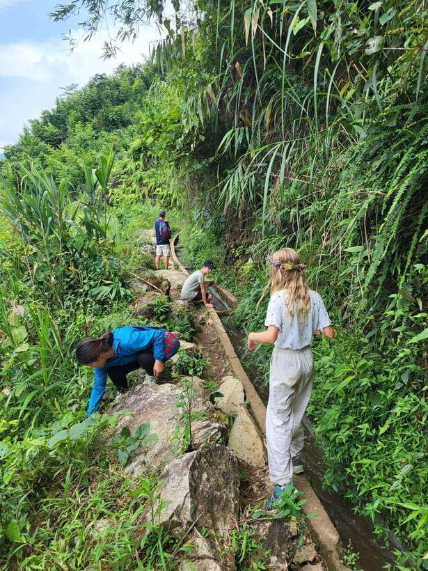Trekking Sapa 1 Day With Local Guide, Terraced Rice Fields - Key highlights worth your time