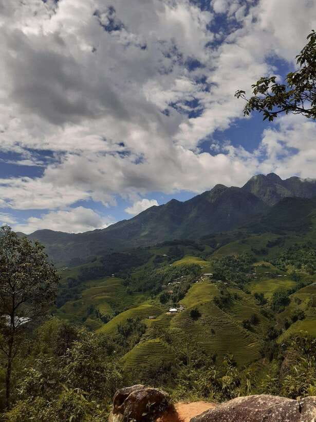 Trekking Sapa 1 Day With Local Guide, Terraced Rice Fields - The walking route: Sapa to Cat Cat road, Muong Hoa bridge, bamboo forest