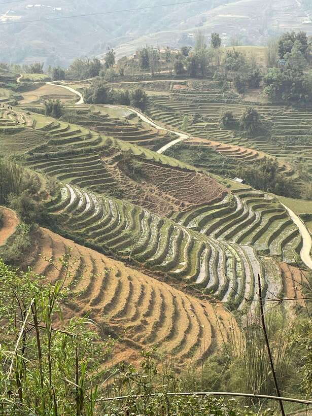 Trekking Sapa 1 Day With Local Guide, Terraced Rice Fields - What’s included, what costs extra, and how to plan your day