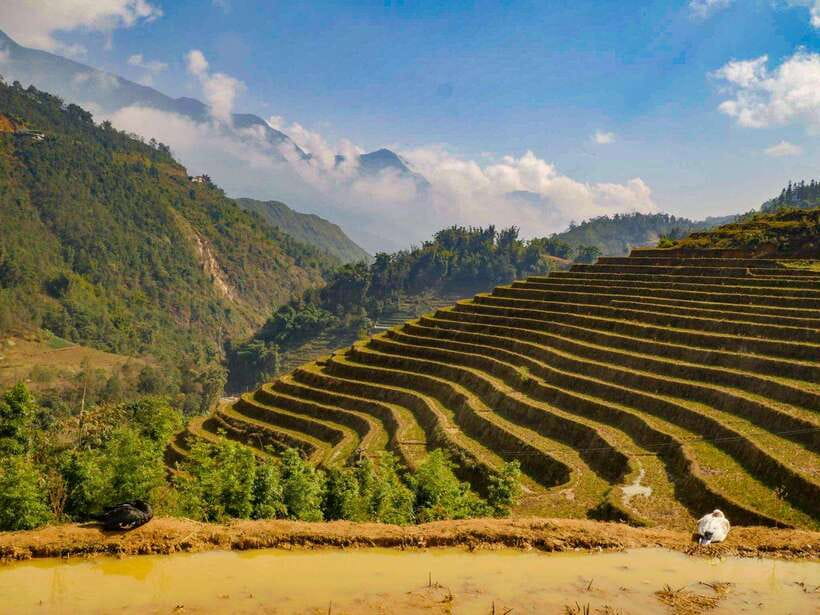 Trekking Sapa 1 Day With Local Guide, Terraced Rice Fields - Price and value: what $24 buys you in Northern Vietnam