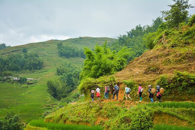 Trekking Through Rice Terraced Fields - 1Day - Why a one-day rice terrace trek makes sense in Sapa