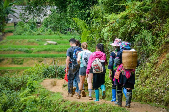 Trekking Through Rice Terraced Fields - 1Day - Small group comfort and pickup convenience
