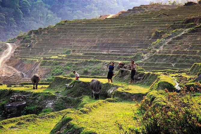 Trekking Through Rice Terraced Fields - 1Day - Stop 2: Lao Chải and the Black Hmong community