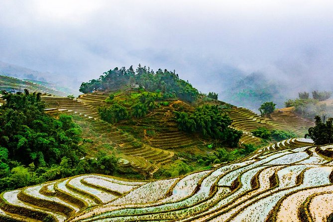 Trekking Through Rice Terraced Fields - 1Day - Stop 3: Ta Van village and meeting the Giay minority