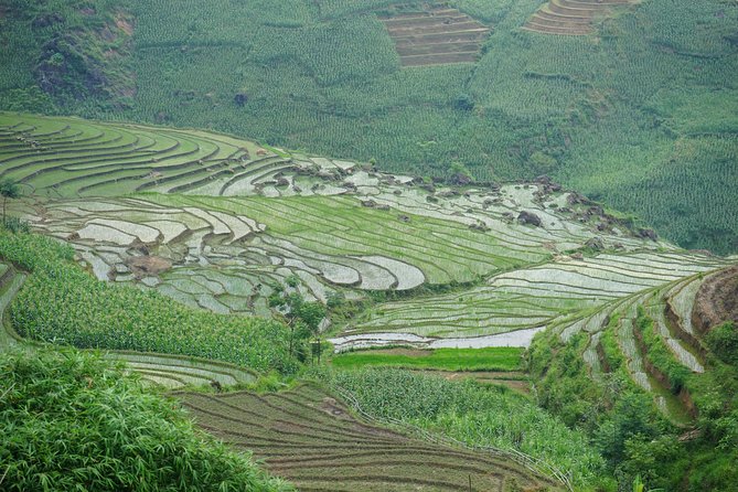 Ultimate Sapa Motorbike Tour: Villages & Waterfalls - Hotel Pickup, Small Groups, and How the Ride Really Feels