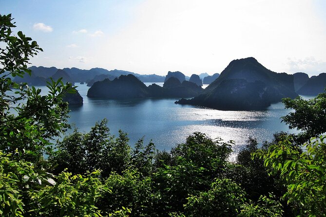 V Spirit Cruises Halong Bay 2 Days/1 Night 5 Star - Group size, meeting point, and getting to the ship without stress